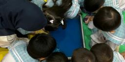 Sensory Play for Toddlers: Fun Learning in Our Nursery Class